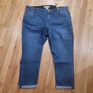 Democracy Ab Technology Ankle Skimmer Denim Jeans